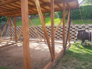 Atraminė sienutė palei sodo taką – nuotrauka 4